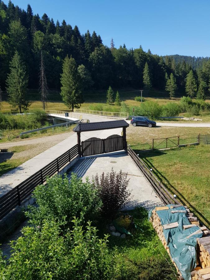 Pensiunea Daria Putna Bagian luar foto